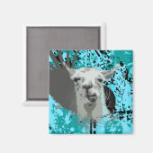 Aimant hi-fi llama. (Recto/Verso)