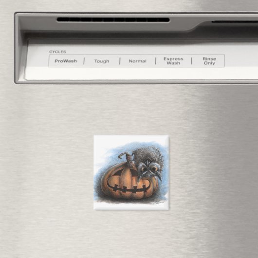 Aimant Hialloween Vampire Owl (In Situ (Lave-vaisselle))