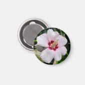Aimant Hibiscus (Recto/Verso)