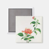 Aimant Hibiscus (Recto/Verso)
