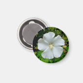 Aimant Hibiscus (Recto/Verso)