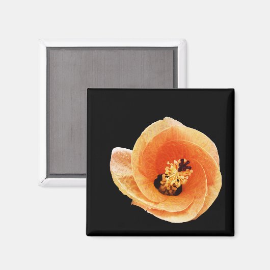 Aimant Hibiscus (Recto/Verso)