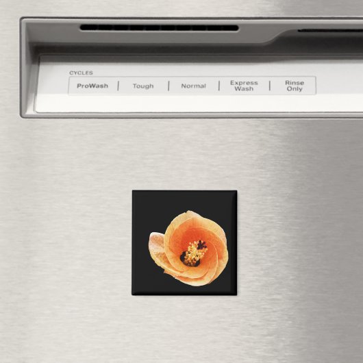 Aimant Hibiscus (In Situ (Lave-vaisselle))