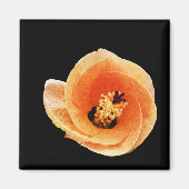 Aimant Hibiscus (Devant)