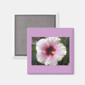 Aimant Hibiscus (Recto/Verso)