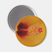 Aimant Hibiscus (Recto/Verso)