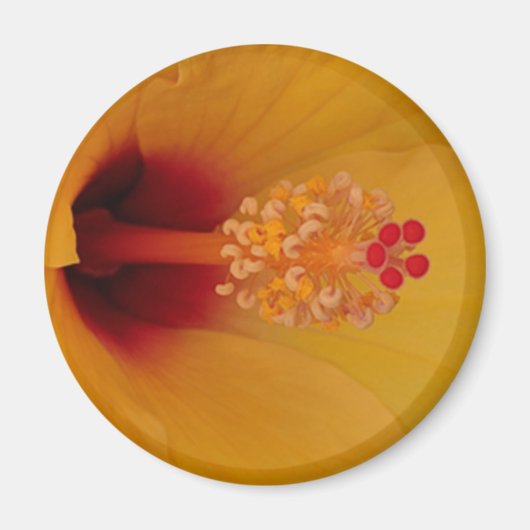 Aimant Hibiscus (Devant)