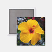 Aimant Hibiscus (Recto/Verso)