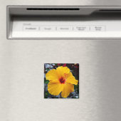 Aimant Hibiscus (In Situ (Lave-vaisselle))