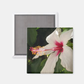 Aimant Hibiscus (Recto/Verso)