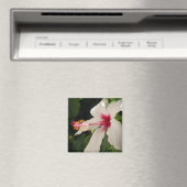 Aimant Hibiscus (In Situ (Lave-vaisselle))