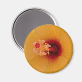 Aimant Hibiscus (Recto/Verso)
