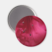 Aimant Hibiscus (Recto/Verso)