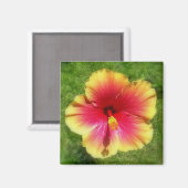 Aimant Hibiscus (Recto/Verso)