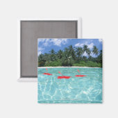 Aimant Hibiscus flottant sur la mer (Recto/Verso)