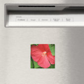 Aimant Hibiscus Flower Bright Magenta (In Situ (Lave-vaisselle))