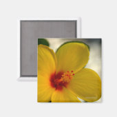 Aimant Hibiscus jaune (Recto/Verso)