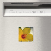 Aimant Hibiscus jaune (In Situ (Lave-vaisselle))