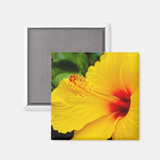 Aimant Hibiscus jaune vif (Recto/Verso)