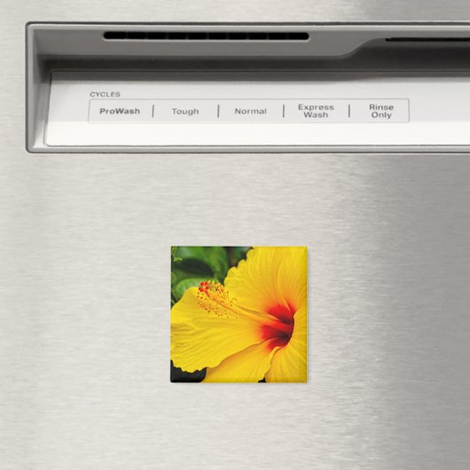 Aimant Hibiscus jaune vif (In Situ (Lave-vaisselle))