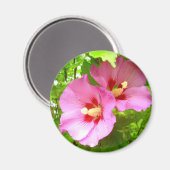 Aimant Hibiscus rose (Recto/Verso)