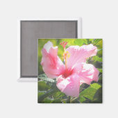 Aimant Hibiscus rose (Recto/Verso)
