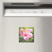Aimant Hibiscus rose (In Situ (Lave-vaisselle))