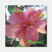 Aimant Hibiscus rose à Hawaii (Devant)
