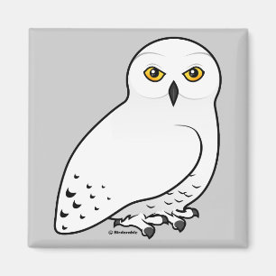 Aimant Hibou de Birdorable Milou