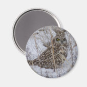 Aimant Hibou des marais B11 (Recto/Verso)