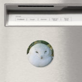 Aimant Hibou des neiges (In Situ (Lave-vaisselle))