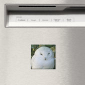Aimant Hibou des neiges (In Situ (Lave-vaisselle))