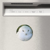 Aimant Hibou des neiges (In Situ (Lave-vaisselle))