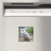 Aimant Hibou des neiges (In Situ (Lave-vaisselle))