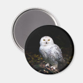 Aimant Hibou des neiges majestueux d'hiver (Recto/Verso)