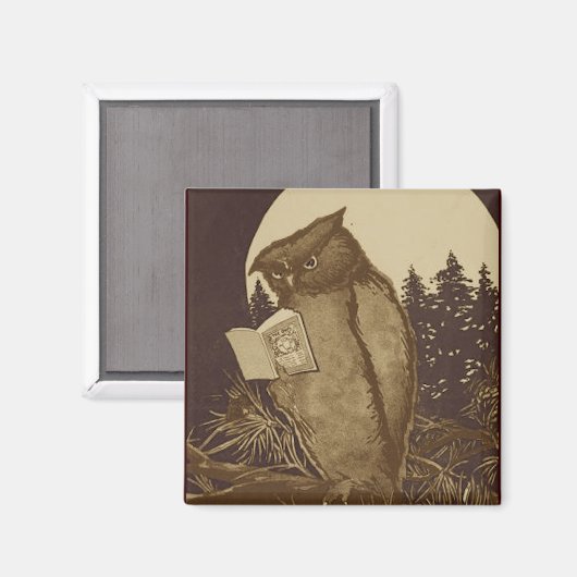 Aimant Hibou lisant au clair de lune (Recto/Verso)