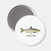Aimant Hickory Shad (Recto/Verso)