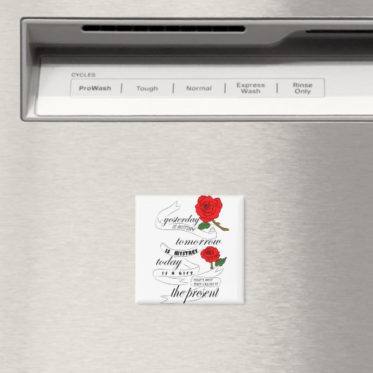 Aimant hier est l'histoire demain est mon (In Situ (Lave-vaisselle))