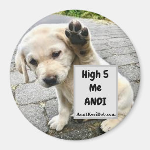 Aimant High 5 Me Andi Puppy
