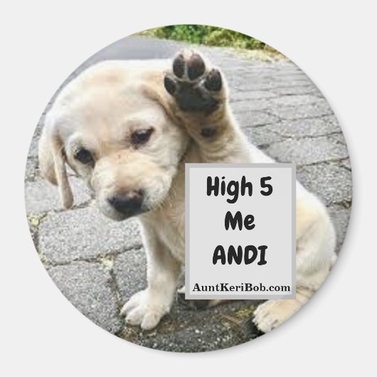 Aimant High 5 Me Andi Puppy (Devant)