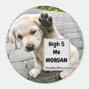 Aimant High 5 Me MORGAN Puppy