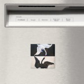 Aimant Hilma af Klint Le Cygne (In Situ (Lave-vaisselle))