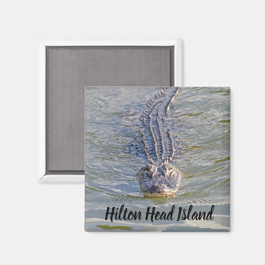 Aimant Hilton Head Alligator (Recto/Verso)