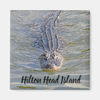 Aimant Hilton Head Alligator