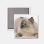 Aimant Himalaya (Recto/Verso)