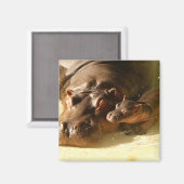 aimant hippo (Recto/Verso)