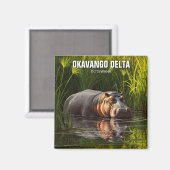 Aimant Hippo dans le delta de l'Okavango au Botswana (Recto/Verso)