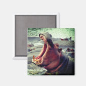Aimant hippo grand yawn (Recto/Verso)