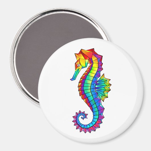 Aimant Hippocampe polygonal arc-en-ciel (Recto/Verso)
