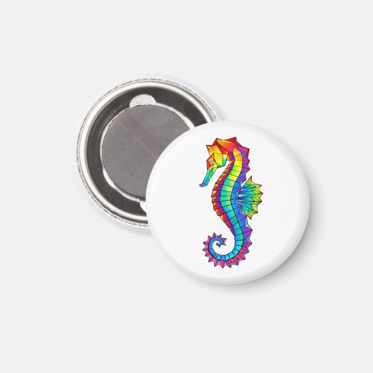Aimant Hippocampe polygonal arc-en-ciel (Recto/Verso)